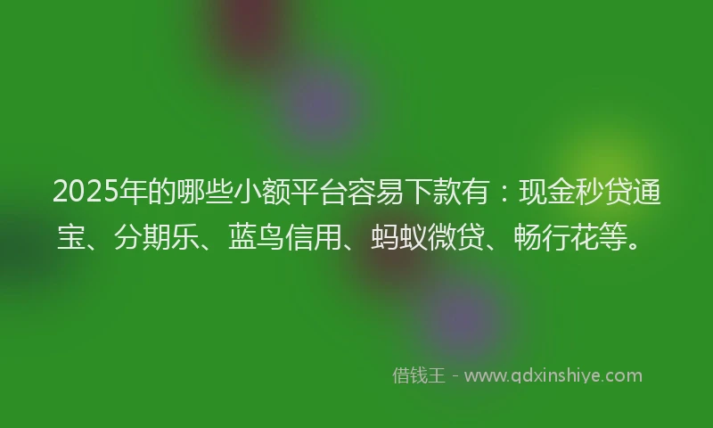 2025年的哪些小额平台容易下款有：现金秒贷通宝、分期乐、蓝鸟信用、蚂蚁微贷、畅行花等。