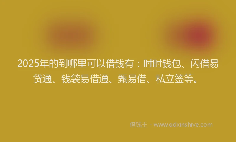 2025年的到哪里可以借钱有：时时钱包、闪借易贷通、钱袋易借通、甄易借、私立签等。