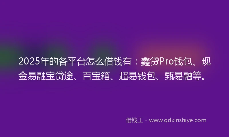 2025年的各平台怎么借钱有：鑫贷Pro钱包、现金易融宝贷途、百宝箱、超易钱包、甄易融等。