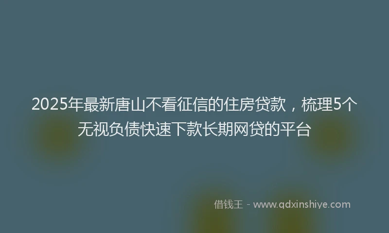 2025年最新唐山不看征信的住房贷款，梳理5个无视负债快速下款长期网贷的平台