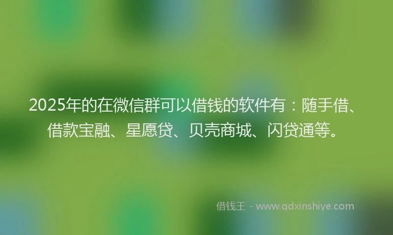 2025年的在微信群可以借钱的软件有：随手借、借款宝融、星愿贷、贝壳商城、闪贷通等。