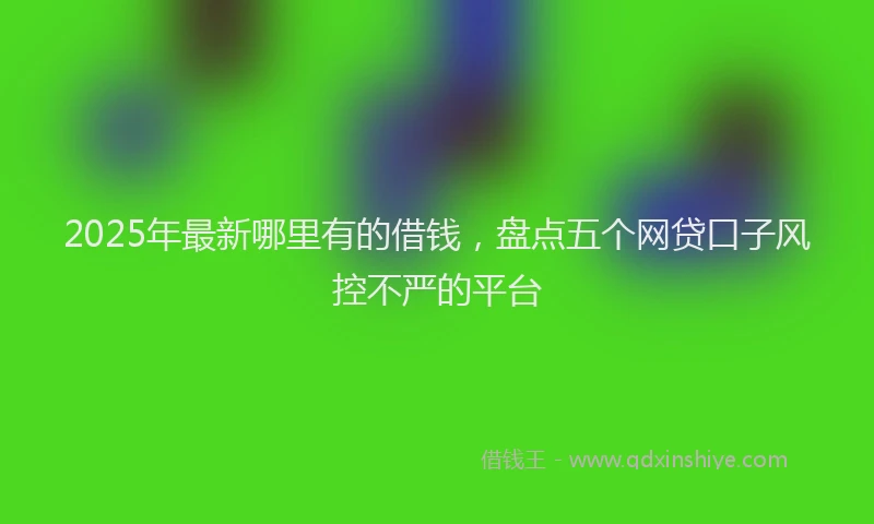 2025年最新哪里有的借钱，盘点五个网贷口子风控不严的平台