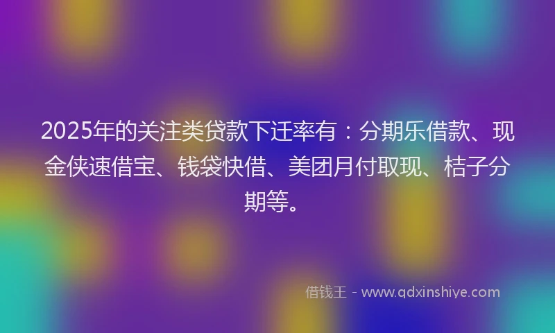 2025年的关注类贷款下迁率有：分期乐借款、现金侠速借宝、钱袋快借、美团月付取现、桔子分期等。