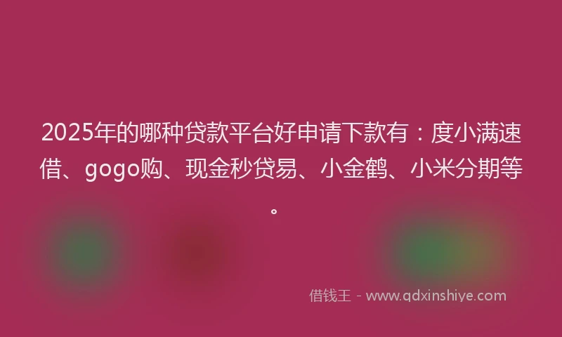 2025年的哪种贷款平台好申请下款有：度小满速借、gogo购、现金秒贷易、小金鹤、小米分期等。