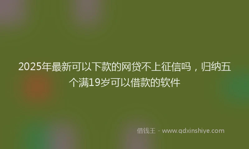 2025年最新可以下款的网贷不上征信吗，归纳五个满19岁可以借款的软件