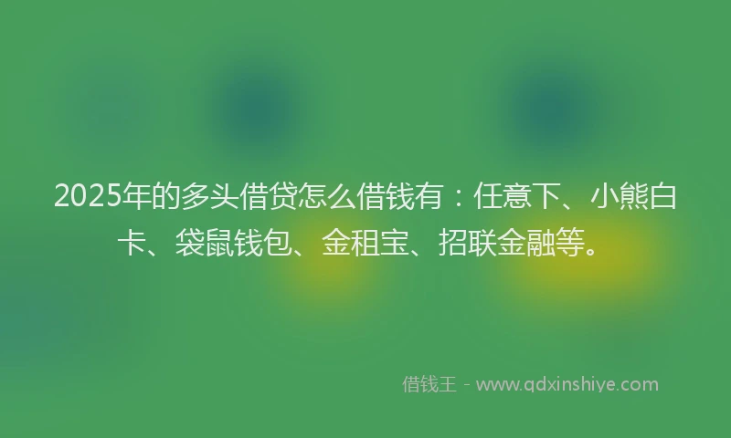 2025年的多头借贷怎么借钱有：任意下、小熊白卡、袋鼠钱包、金租宝、招联金融等。