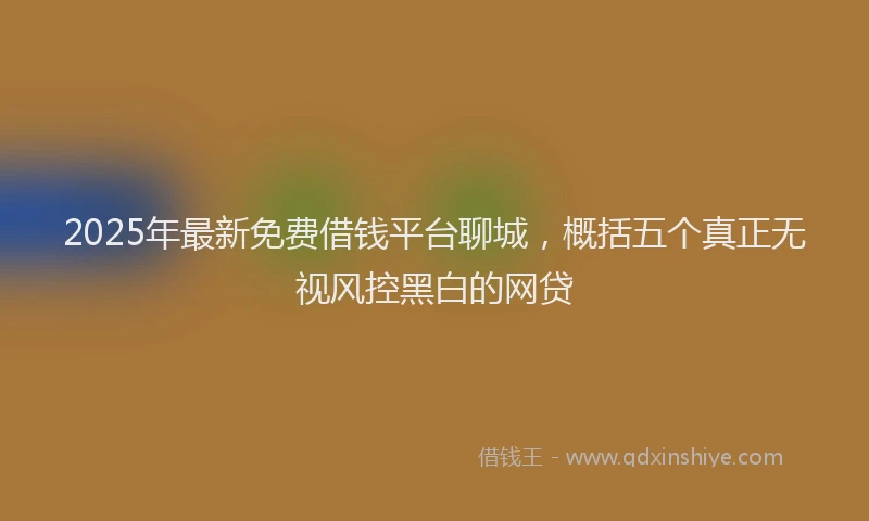 2025年最新免费借钱平台聊城，概括五个真正无视风控黑白的网贷