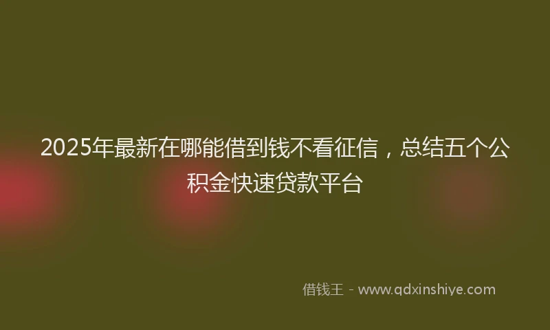 2025年最新在哪能借到钱不看征信，总结五个公积金快速贷款平台