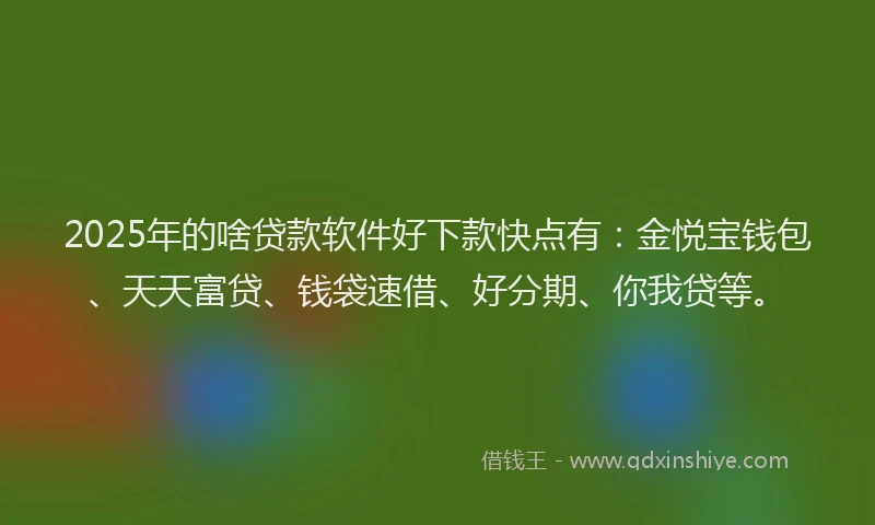 2025年的啥贷款软件好下款快点有：金悦宝钱包、天天富贷、钱袋速借、好分期、你我贷等。