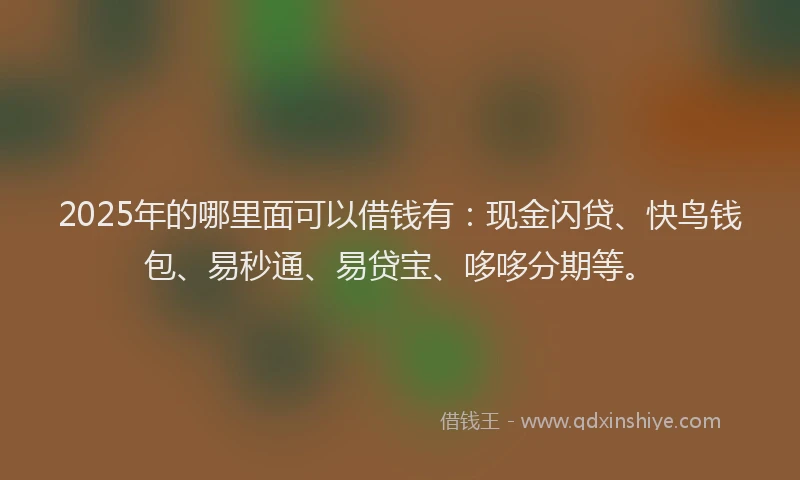 2025年的哪里面可以借钱有：现金闪贷、快鸟钱包、易秒通、易贷宝、哆哆分期等。