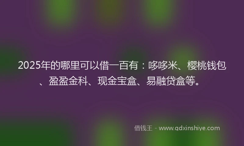 2025年的哪里可以借一百有：哆哆米、樱桃钱包、盈盈金科、现金宝盒、易融贷盒等。