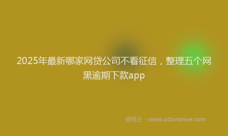 2025年最新哪家网贷公司不看征信，整理五个网黑逾期下款app