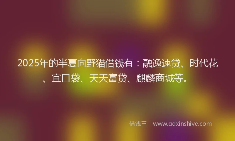 2025年的半夏向野猫借钱有：融逸速贷、时代花、宜口袋、天天富贷、麒麟商城等。
