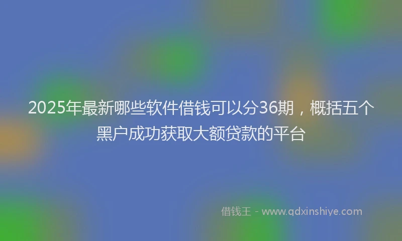 2025年最新哪些软件借钱可以分36期，概括五个黑户成功获取大额贷款的平台