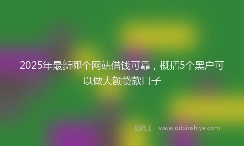 2025年最新哪个网站借钱可靠，概括5个黑户可以做大额贷款口子