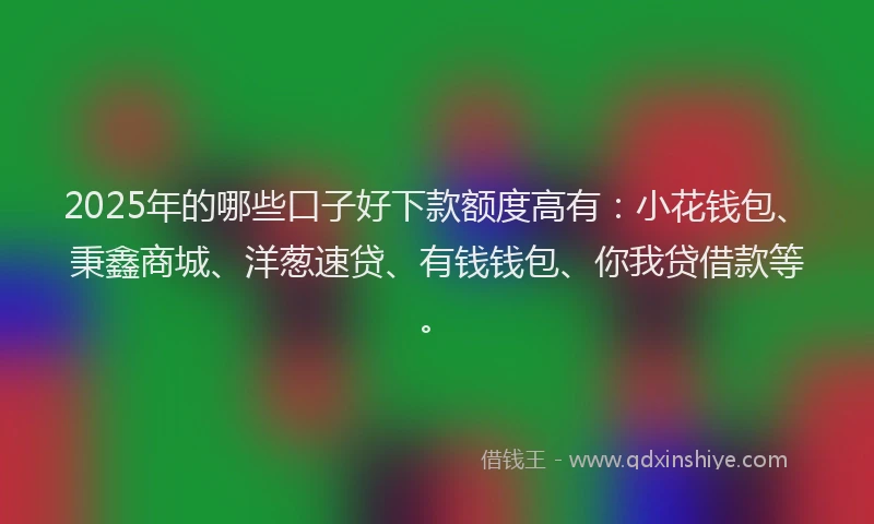 2025年的哪些口子好下款额度高有：小花钱包、秉鑫商城、洋葱速贷、有钱钱包、你我贷借款等。