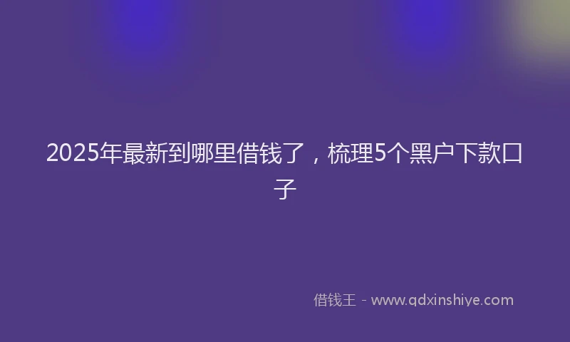 2025年最新到哪里借钱了，梳理5个黑户下款口子