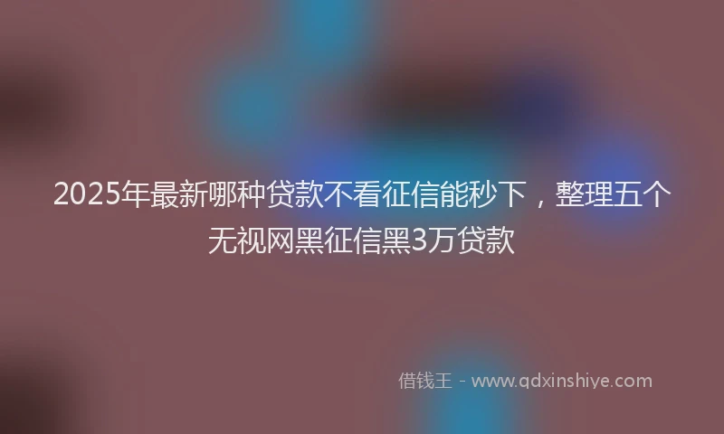 2025年最新哪种贷款不看征信能秒下，整理五个无视网黑征信黑3万贷款