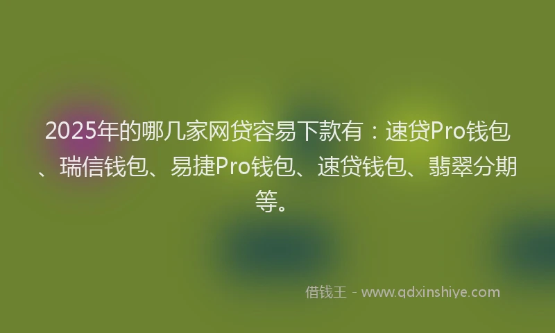 2025年的哪几家网贷容易下款有：速贷Pro钱包、瑞信钱包、易捷Pro钱包、速贷钱包、翡翠分期等。