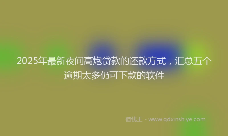 2025年最新夜间高炮贷款的还款方式，汇总五个逾期太多仍可下款的软件