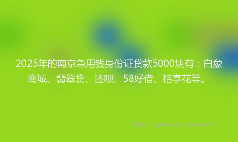 2025年的南京急用钱身份证贷款5000块有：白象商城、翡翠贷、还呗、58好借、桔享花等。