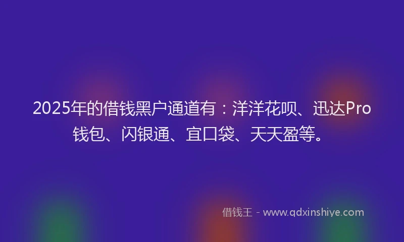 2025年的借钱黑户通道有：洋洋花呗、迅达Pro钱包、闪银通、宜口袋、天天盈等。