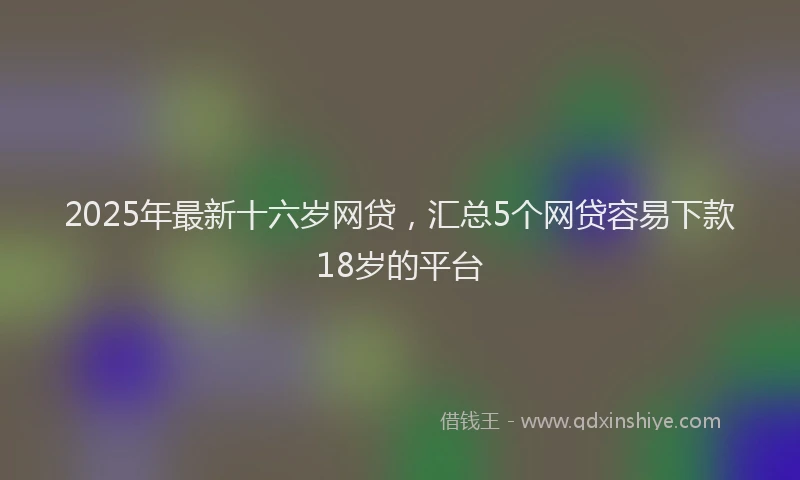2025年最新十六岁网贷，汇总5个网贷容易下款18岁的平台