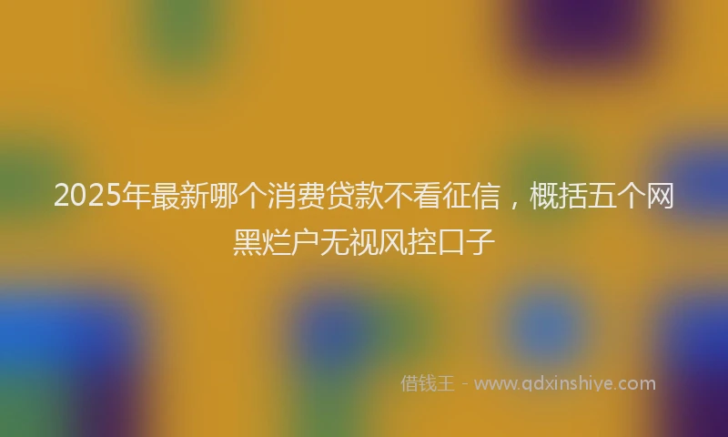 2025年最新哪个消费贷款不看征信，概括五个网黑烂户无视风控口子