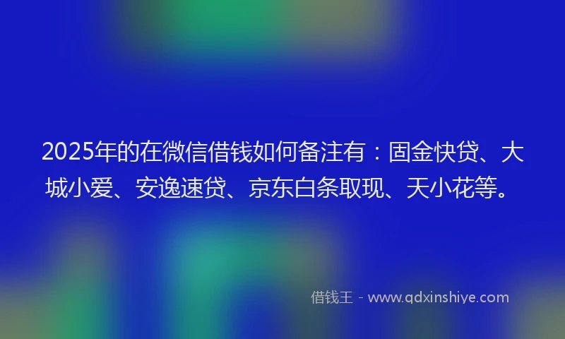 2025年的在微信借钱如何备注有：固金快贷、大城小爱、安逸速贷、京东白条取现、天小花等。