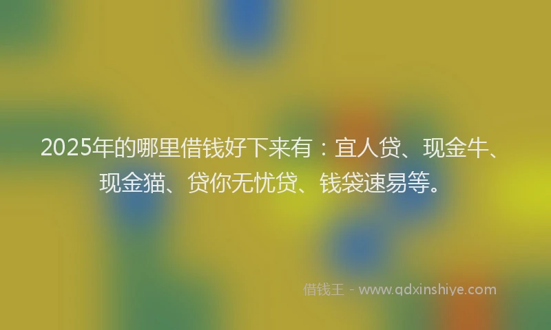 2025年的哪里借钱好下来有：宜人贷、现金牛、现金猫、贷你无忧贷、钱袋速易等。