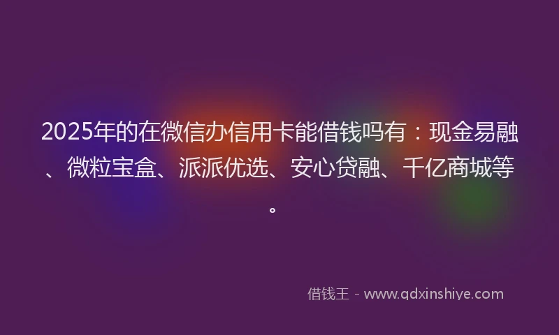 2025年的在微信办信用卡能借钱吗有：现金易融、微粒宝盒、派派优选、安心贷融、千亿商城等。