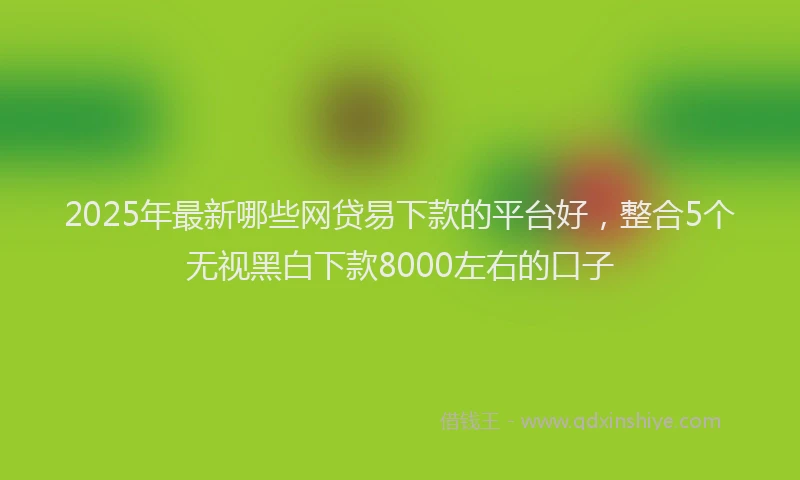 2025年最新哪些网贷易下款的平台好，整合5个无视黑白下款8000左右的口子