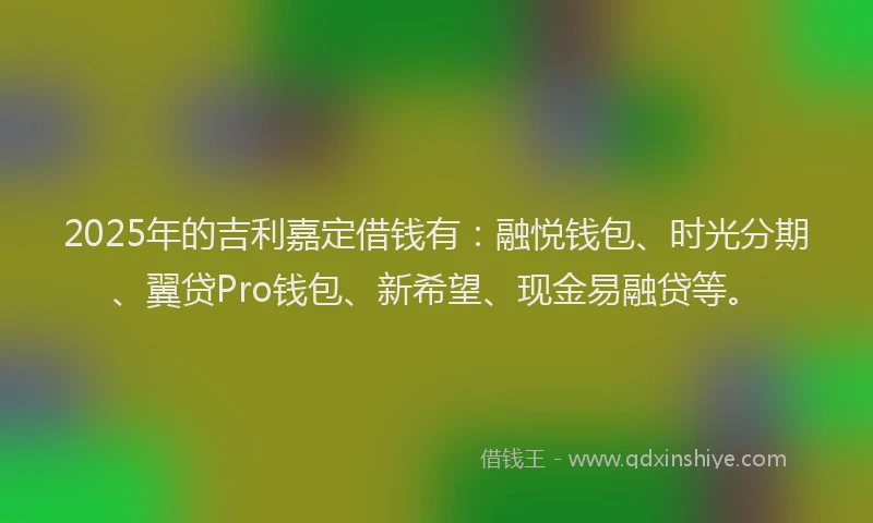 2025年的吉利嘉定借钱有：融悦钱包、时光分期、翼贷Pro钱包、新希望、现金易融贷等。