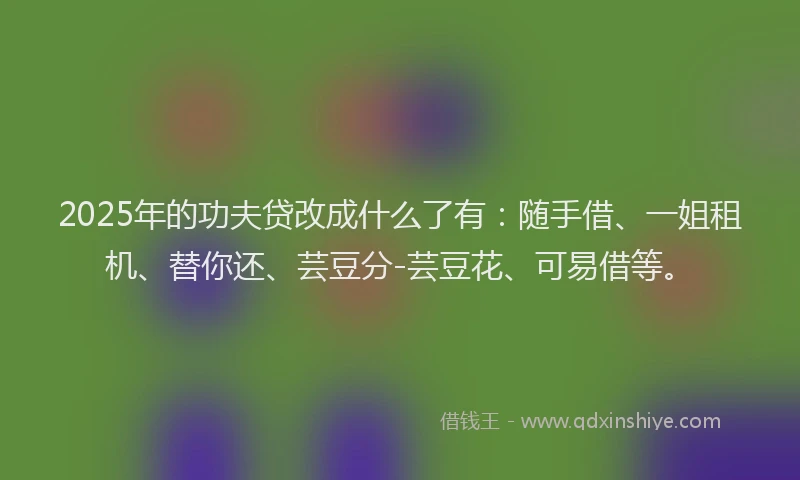 2025年的功夫贷改成什么了有：随手借、一姐租机、替你还、芸豆分-芸豆花、可易借等。