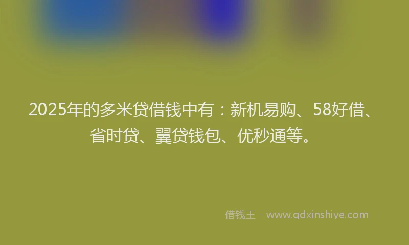 2025年的多米贷借钱中有：新机易购、58好借、省时贷、翼贷钱包、优秒通等。