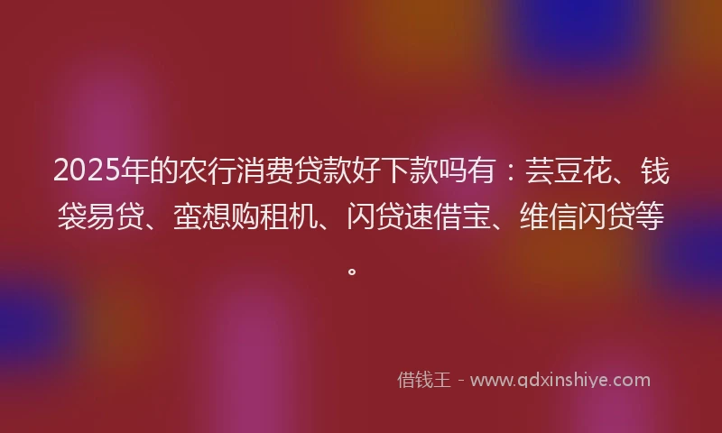 2025年的农行消费贷款好下款吗有：芸豆花、钱袋易贷、蛮想购租机、闪贷速借宝、维信闪贷等。