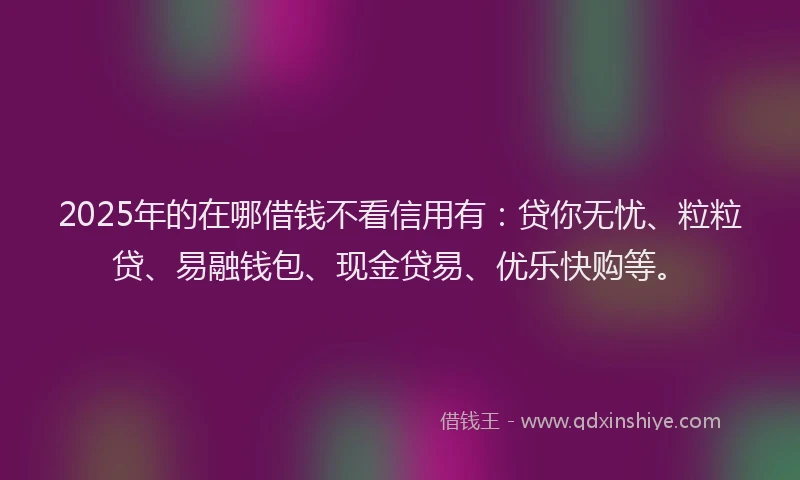 2025年的在哪借钱不看信用有：贷你无忧、粒粒贷、易融钱包、现金贷易、优乐快购等。
