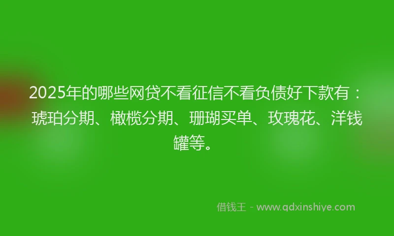 2025年的哪些网贷不看征信不看负债好下款有：琥珀分期、橄榄分期、珊瑚买单、玫瑰花、洋钱罐等。