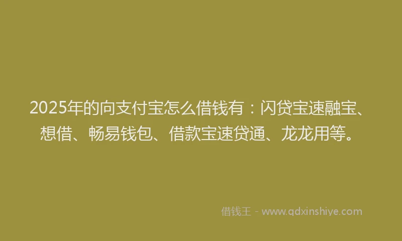 2025年的向支付宝怎么借钱有：闪贷宝速融宝、想借、畅易钱包、借款宝速贷通、龙龙用等。