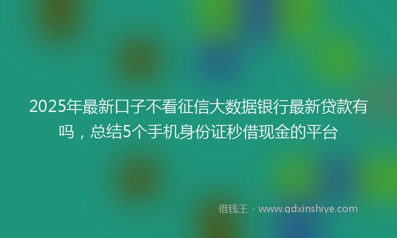 2025年最新口子不看征信大数据银行最新贷款有吗，总结5个手机身份证秒借现金的平台