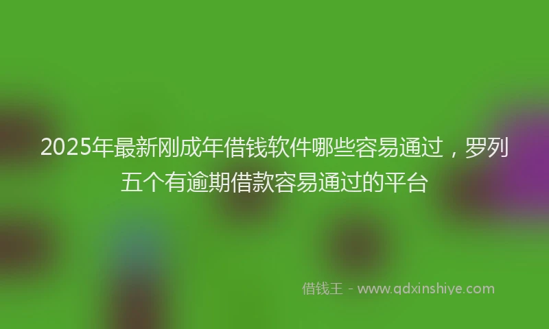 2025年最新刚成年借钱软件哪些容易通过，罗列五个有逾期借款容易通过的平台