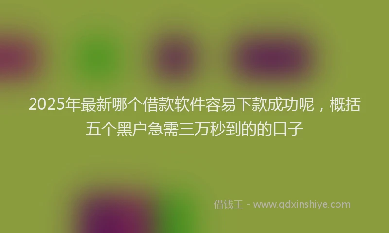 2025年最新哪个借款软件容易下款成功呢，概括五个黑户急需三万秒到的的口子
