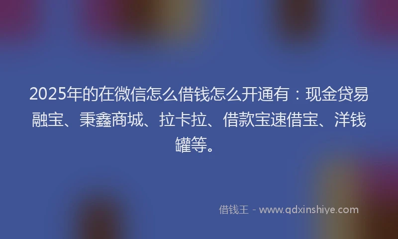 2025年的在微信怎么借钱怎么开通有：现金贷易融宝、秉鑫商城、拉卡拉、借款宝速借宝、洋钱罐等。