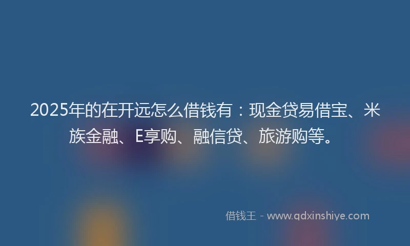 2025年的在开远怎么借钱有：现金贷易借宝、米族金融、E享购、融信贷、旅游购等。