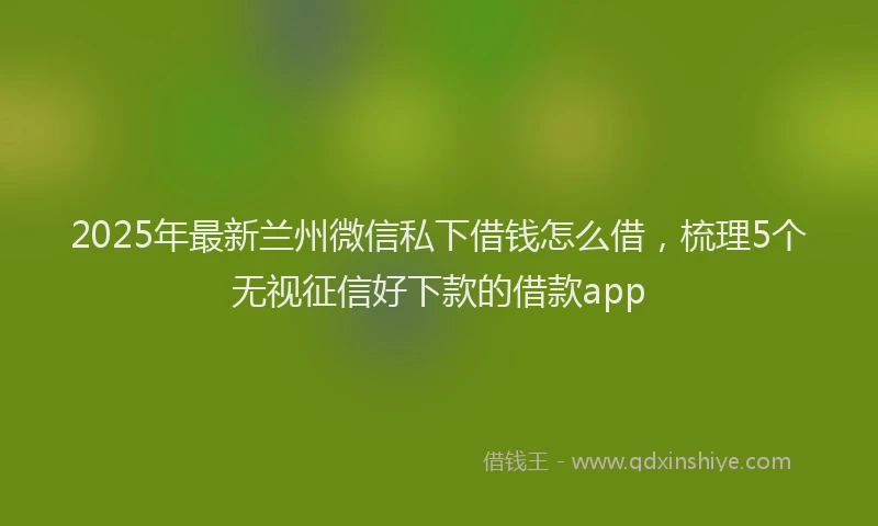 2025年最新兰州微信私下借钱怎么借，梳理5个无视征信好下款的借款app