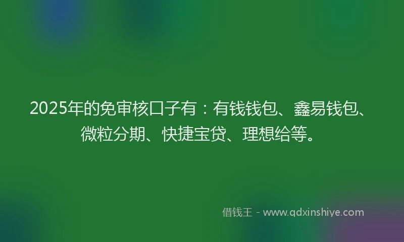 2025年的免审核口子有：有钱钱包、鑫易钱包、微粒分期、快捷宝贷、理想给等。