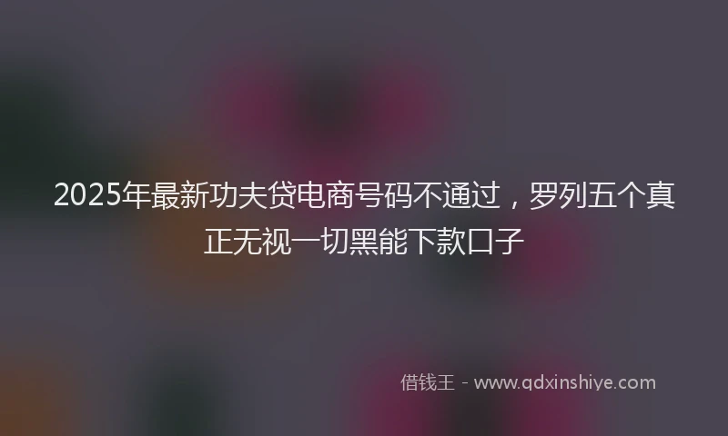 2025年最新功夫贷电商号码不通过，罗列五个真正无视一切黑能下款口子