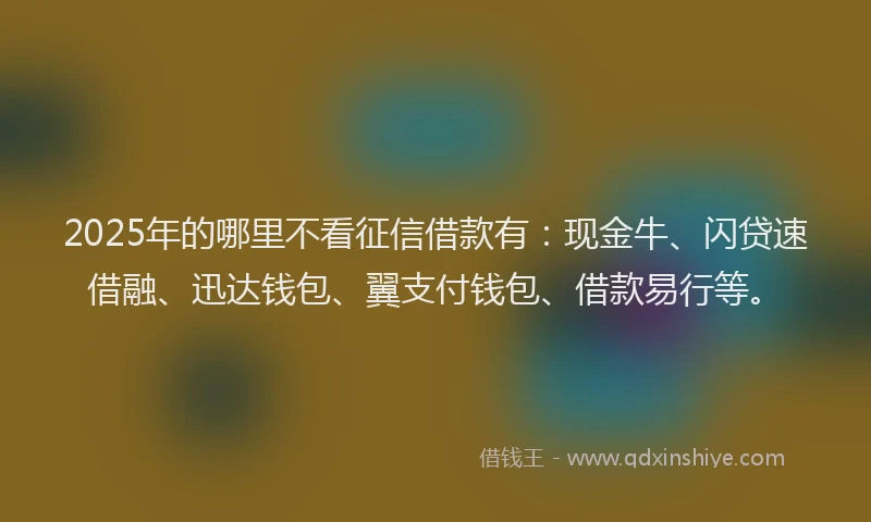 2025年的哪里不看征信借款有：现金牛、闪贷速借融、迅达钱包、翼支付钱包、借款易行等。