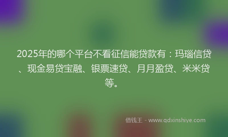 2025年的哪个平台不看征信能贷款有：玛瑙信贷、现金易贷宝融、银票速贷、月月盈贷、米米贷等。