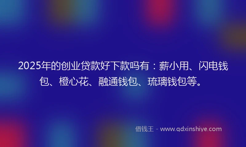 2025年的创业贷款好下款吗有：薪小用、闪电钱包、橙心花、融通钱包、琉璃钱包等。